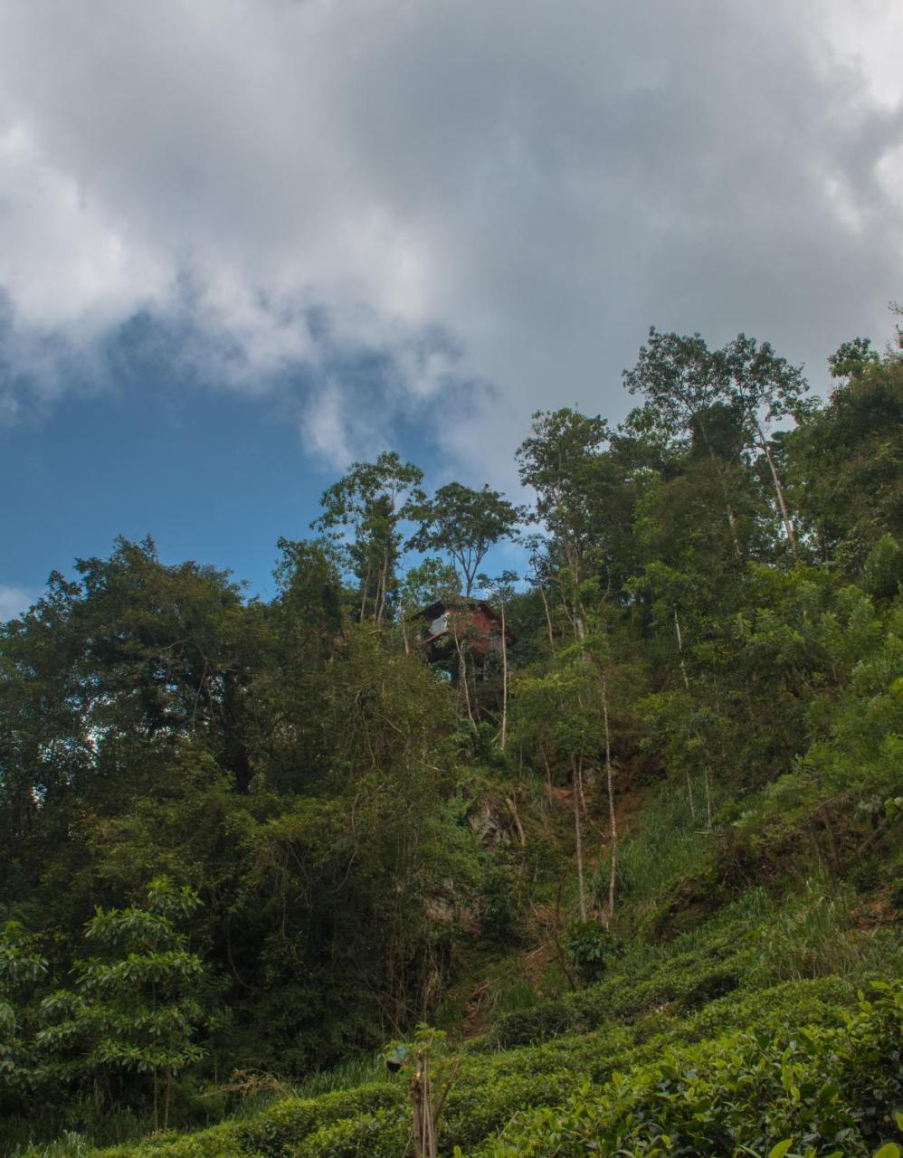 Tree Houses By Jungle River Ginigathena Exterior photo