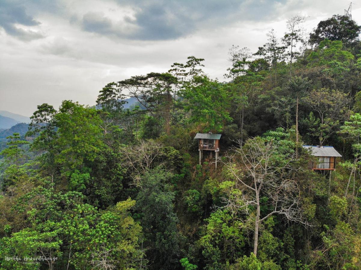 Tree Houses By Jungle River Ginigathena Exterior photo