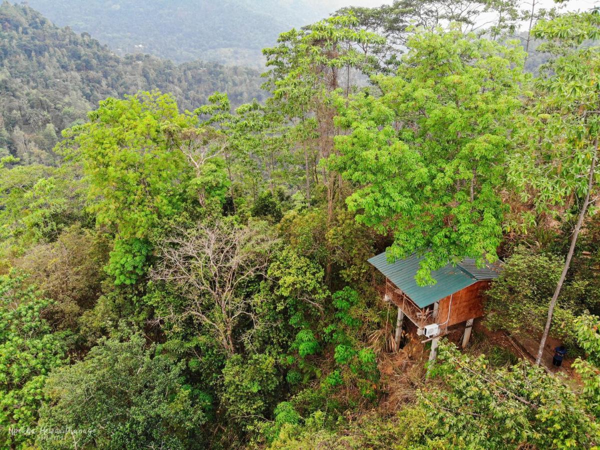 Tree Houses By Jungle River Ginigathena Exterior photo